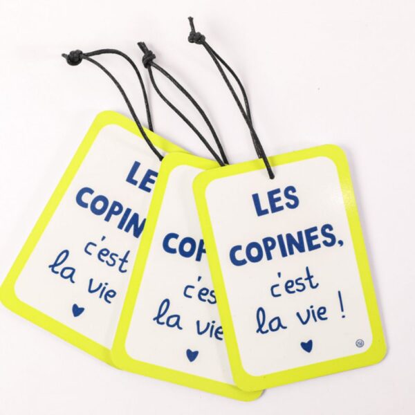 MINI PLAQUE 9X13 CM "LES COPINES C'EST LA VIE"