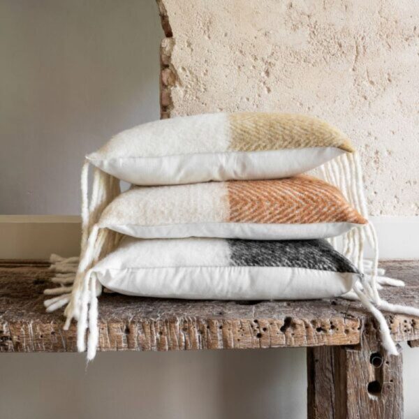 B&P COUSSIN VAN BISCUIT 40X60 – Image 2